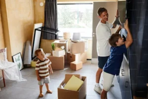 Household Movers in USA
